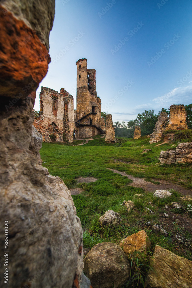 The Ruin of Zvířetice Castle located near Mlada Boleslav