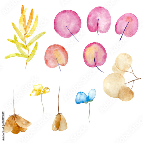 Herbarium leaves and dried flowers. Elements are isolated. Made in watercolor.
