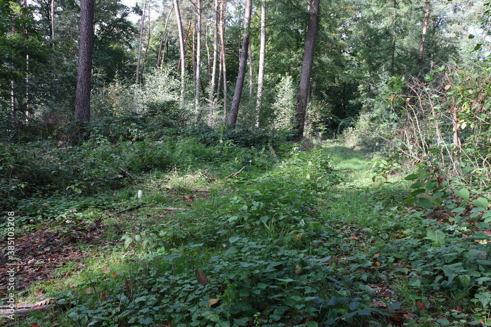 Fototapeta premium Landschaften