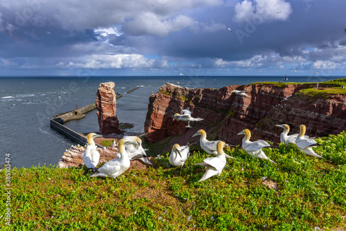 Helgolands Klippen in herrlichem Sonnenschein