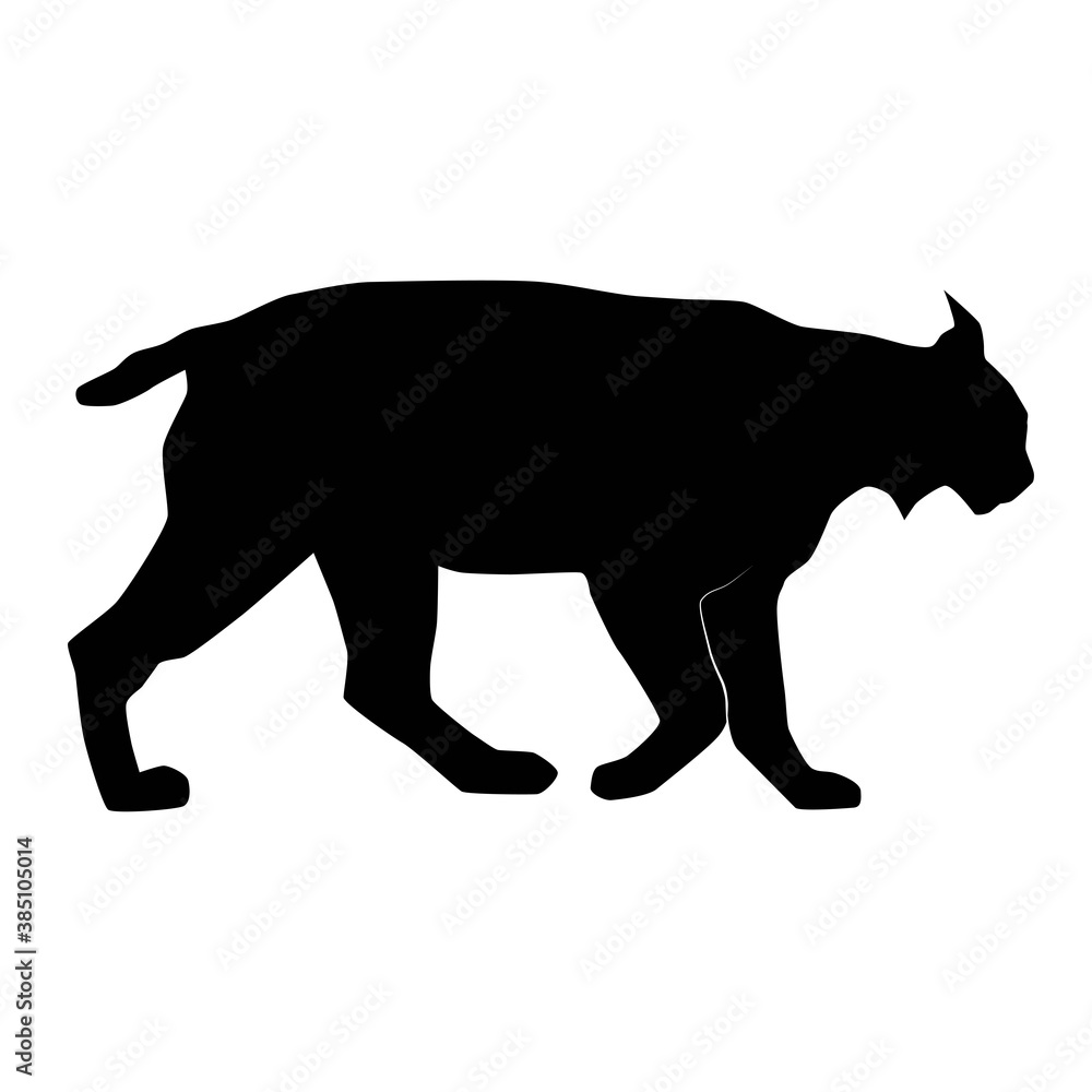 Euroasian lynx (Lynx lynx) walking from profile, vector silhouette of animal