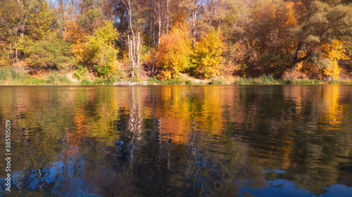 Autumn river landscape with water surface and yellow trees.