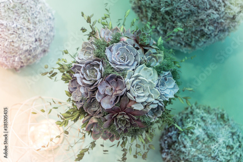 Trendy wedding bouquet made out of succulents on a pastel background