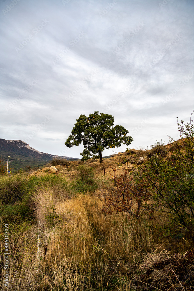 panoramic view of yellow autumn mountains against a background of blue haze and storm clouds panoramic view of yellow autumn mountains against a background of blue haze and storm clouds