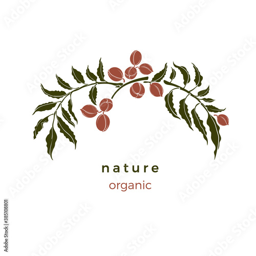 Nature pattern. Pecan tree. Bio green illustration