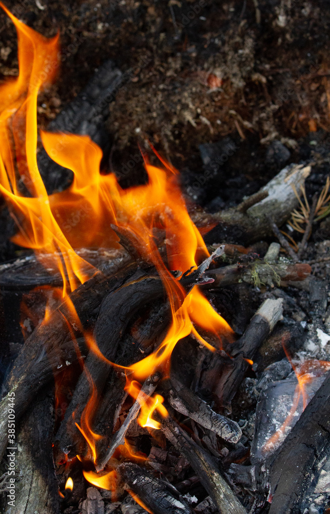 Tourist kettle, kettle in the fire of a burning campfire in a camping trip. Cooking food in the forest on wooden wood during the hike. Active rest and entertainment in nature. Tourist kettle, kettle in the fire of a burning campfire in a camping trip. Cooking food in the forest on wooden wood during the hike. Active rest and entertainment in nature.