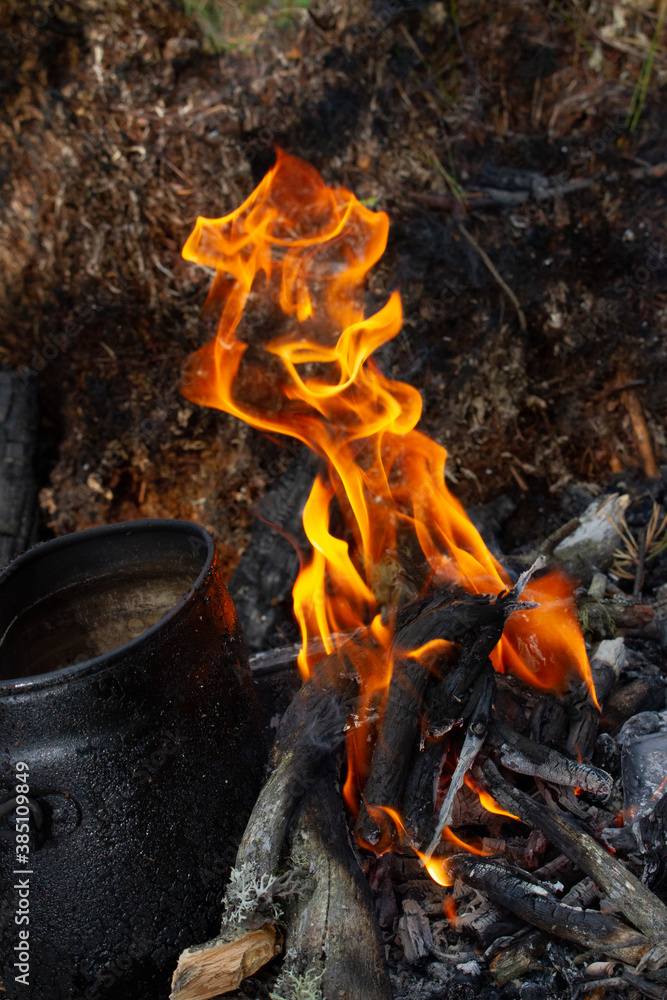 Tourist kettle, kettle in the fire of a burning campfire in a camping trip. Cooking food in the forest on wooden wood during the hike. Active rest and entertainment in nature. Tourist kettle, kettle in the fire of a burning campfire in a camping trip. Cooking food in the forest on wooden wood during the hike. Active rest and entertainment in nature.
