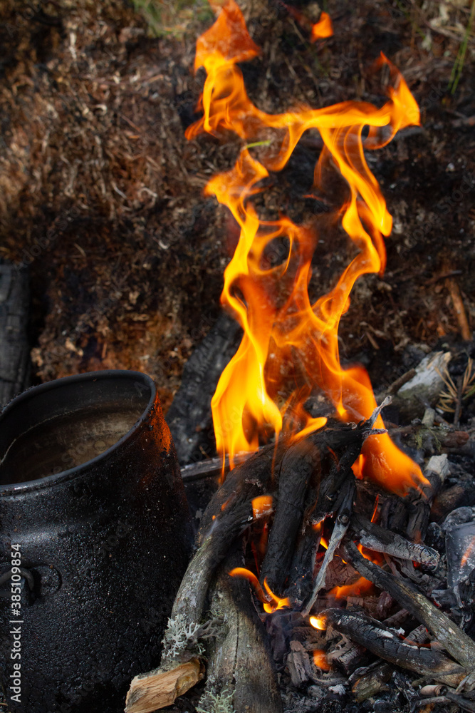 Tourist kettle, kettle in the fire of a burning campfire in a camping trip. Cooking food in the forest on wooden wood during the hike. Active rest and entertainment in nature. Tourist kettle, kettle in the fire of a burning campfire in a camping trip. Cooking food in the forest on wooden wood during the hike. Active rest and entertainment in nature.