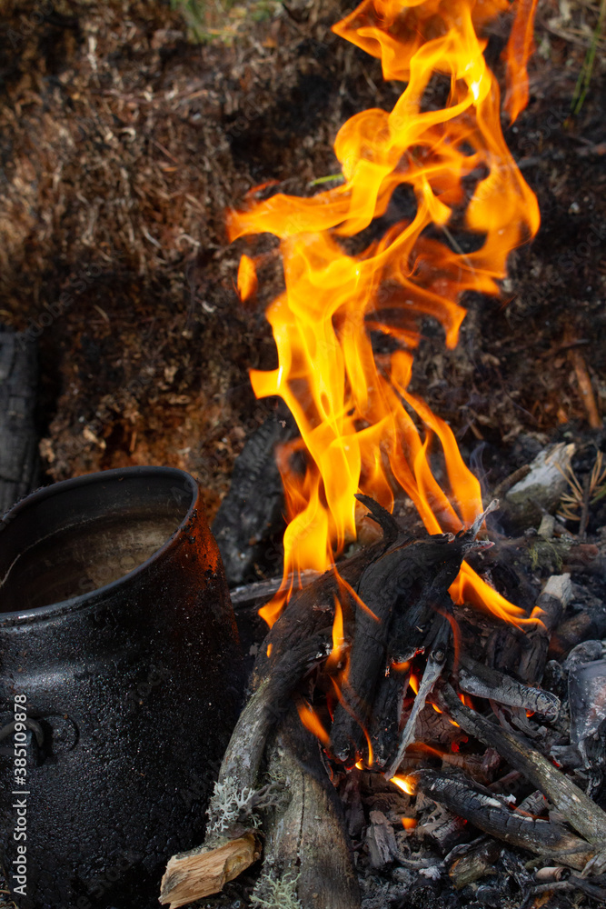 Tourist kettle, kettle in the fire of a burning campfire in a camping trip. Cooking food in the forest on wooden wood during the hike. Active rest and entertainment in nature. Tourist kettle, kettle in the fire of a burning campfire in a camping trip. Cooking food in the forest on wooden wood during the hike. Active rest and entertainment in nature.