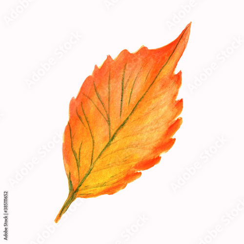Watercolor clipart, autumn leaves, watercolor autumn, wreaths ,Wedding invitations ,garden autumn ,watercolor, autumn watercolor clipart, elements.Watercolor Clip Art Set