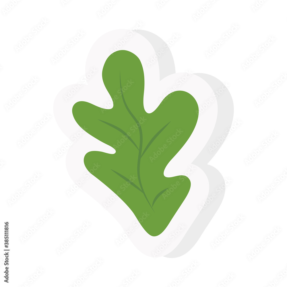 leaf sticker and flat style icon design of Natural floral nature and plant theme Vector illustration