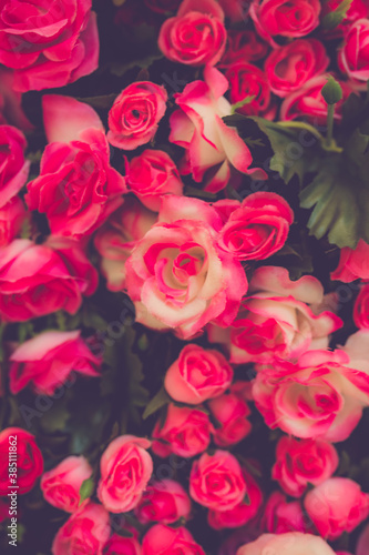 valentine day background. retro love roses flowers bouquet  close up
