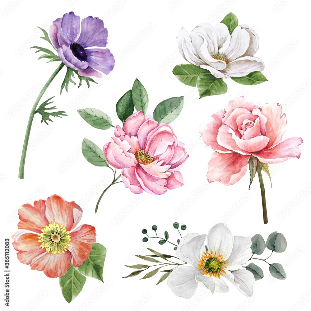 set of watercolor multicolored flowers leaves and bouquets on white background close up