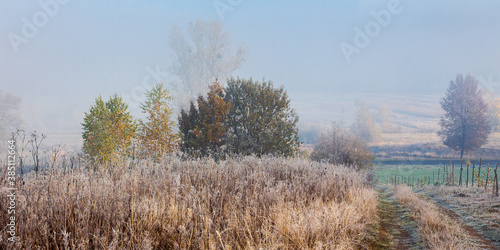 Wallpaper Mural empty rural fields in morning mist. countryside scenery in autumn. Torontodigital.ca