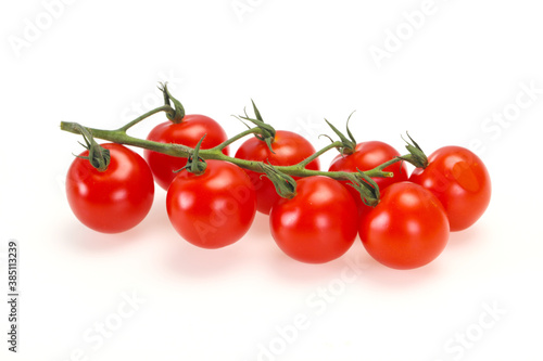 Ripe tomatoes on the branch