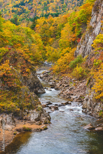  beautiful color change in Autumn leaves season in Japan.  very nice place for traveling