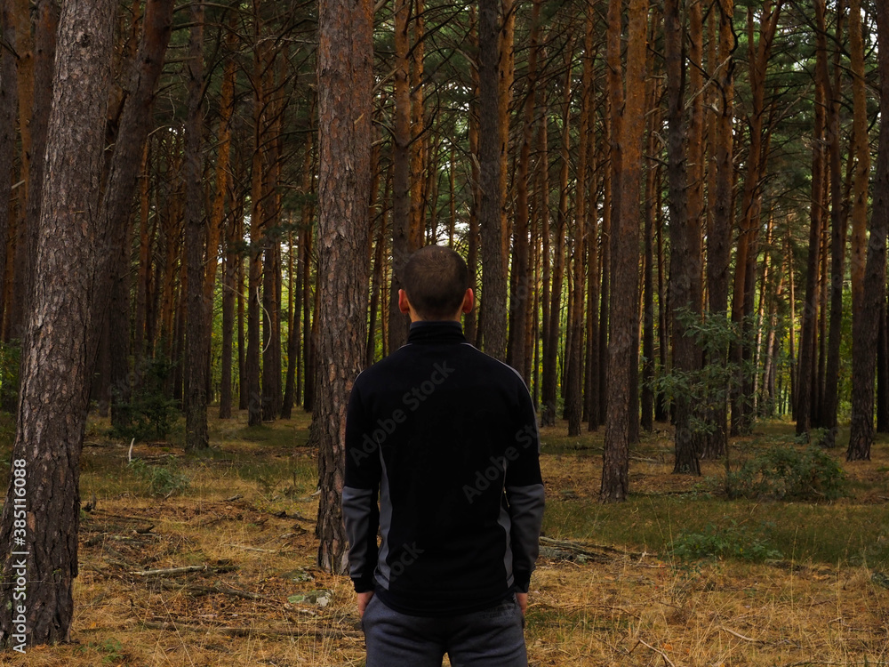 unrecognizable young man in a pine forest