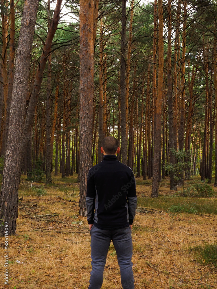 unrecognizable young man in a pine forest unrecognizable young man in a pine forest