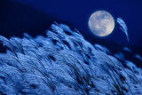 ススキと満月の合成写真