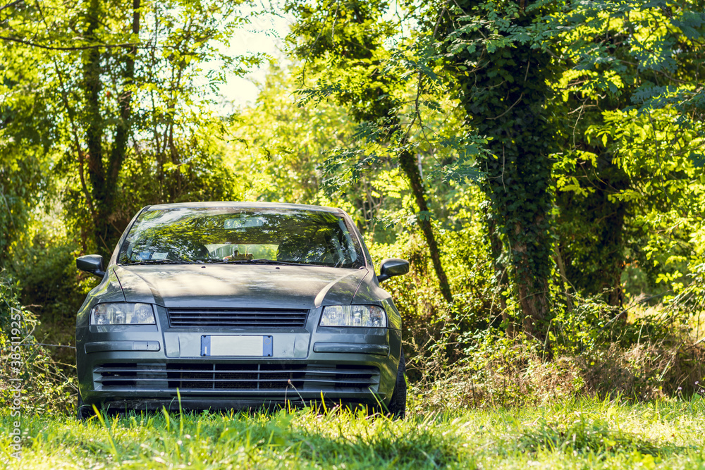 front view of a car in the dense vegetation of the forest with the sunlight through the trees front view of a car in the dense vegetation of the forest with the sunlight through the trees