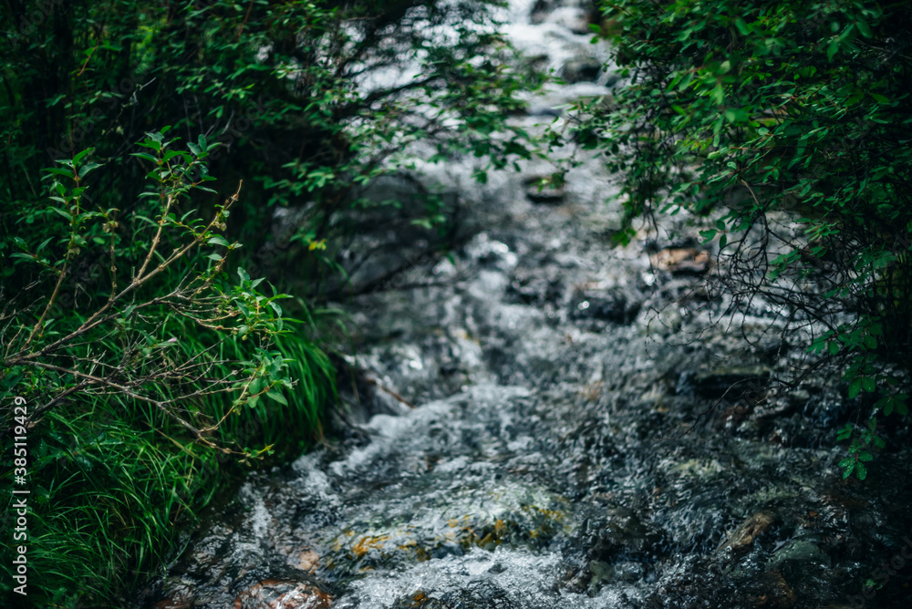 Beautiful mountain creek among lush thickets in forest. Rich flora on bokeh background of mountain creek. Shine of water stream in bokeh. Atmospheric nature background with small river among greenery. Beautiful mountain creek among lush thickets in forest. Rich flora on bokeh background of mountain creek. Shine of water stream in bokeh. Atmospheric nature background with small river among greenery.