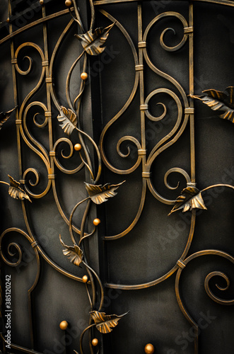 Luxurious fence, modern forged elements of a metal fence