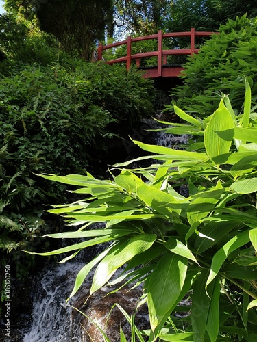green forest in autumn