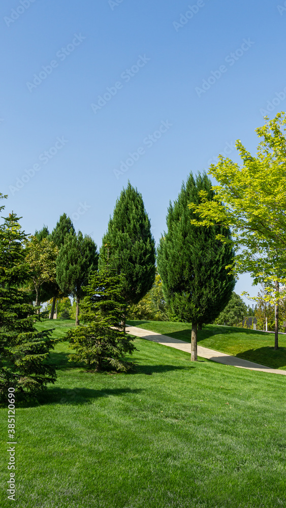 Beautiful landscape view with shaped trimmed trees and firs, green grass lawn in city park 'Krasnodar' or 'Galitsky park' in sunny autumn 2020