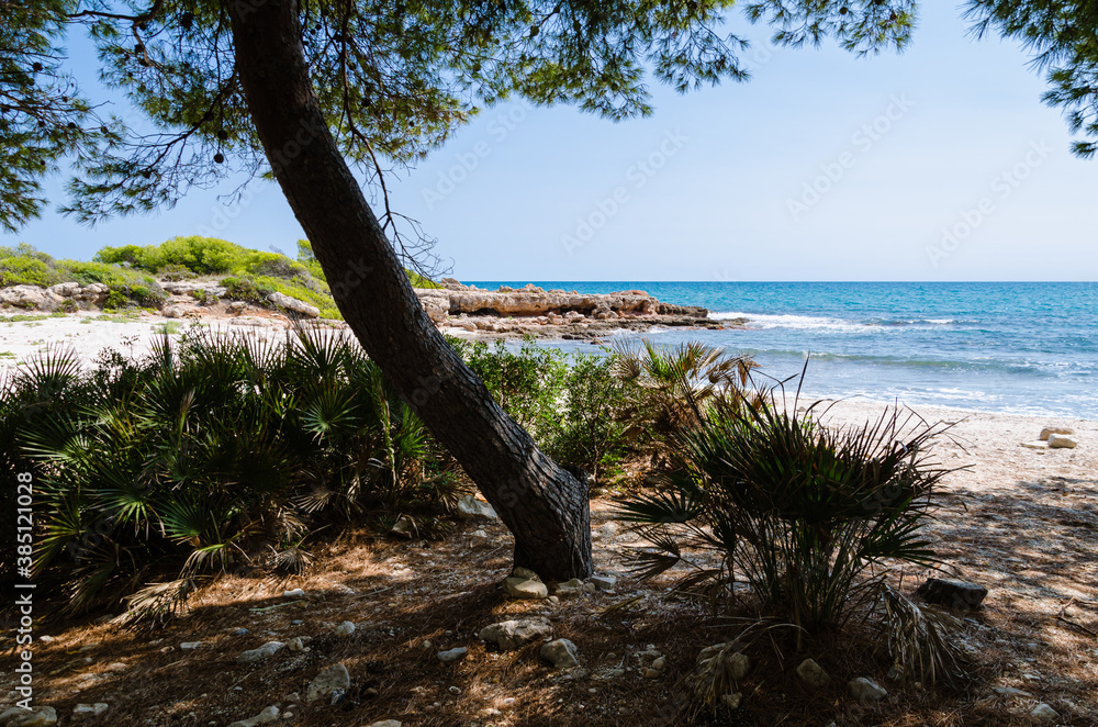 Idyllic and lonely beach with calm water surrounded by nature in Sierra de Irta Natural Park on a sunny day, Castellon, Spain