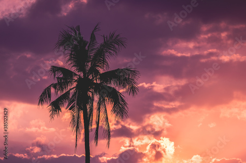 silhouette coconut tree on sunset or sunrise sky background  © pushish images