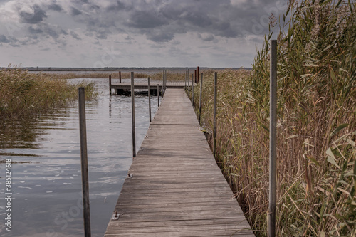 Wallpaper Mural wooden pier on beautiful forest lake. Torontodigital.ca