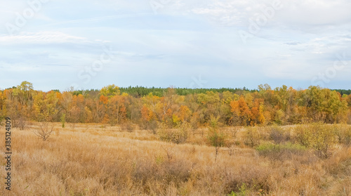 autumn forest landscape with blue sky background