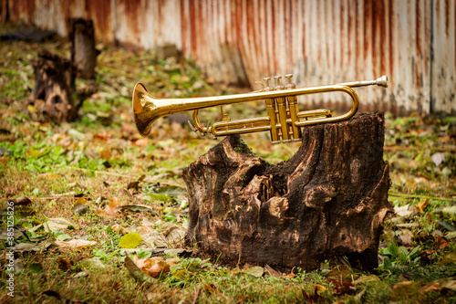 Photography Jazz Trumpet Nature