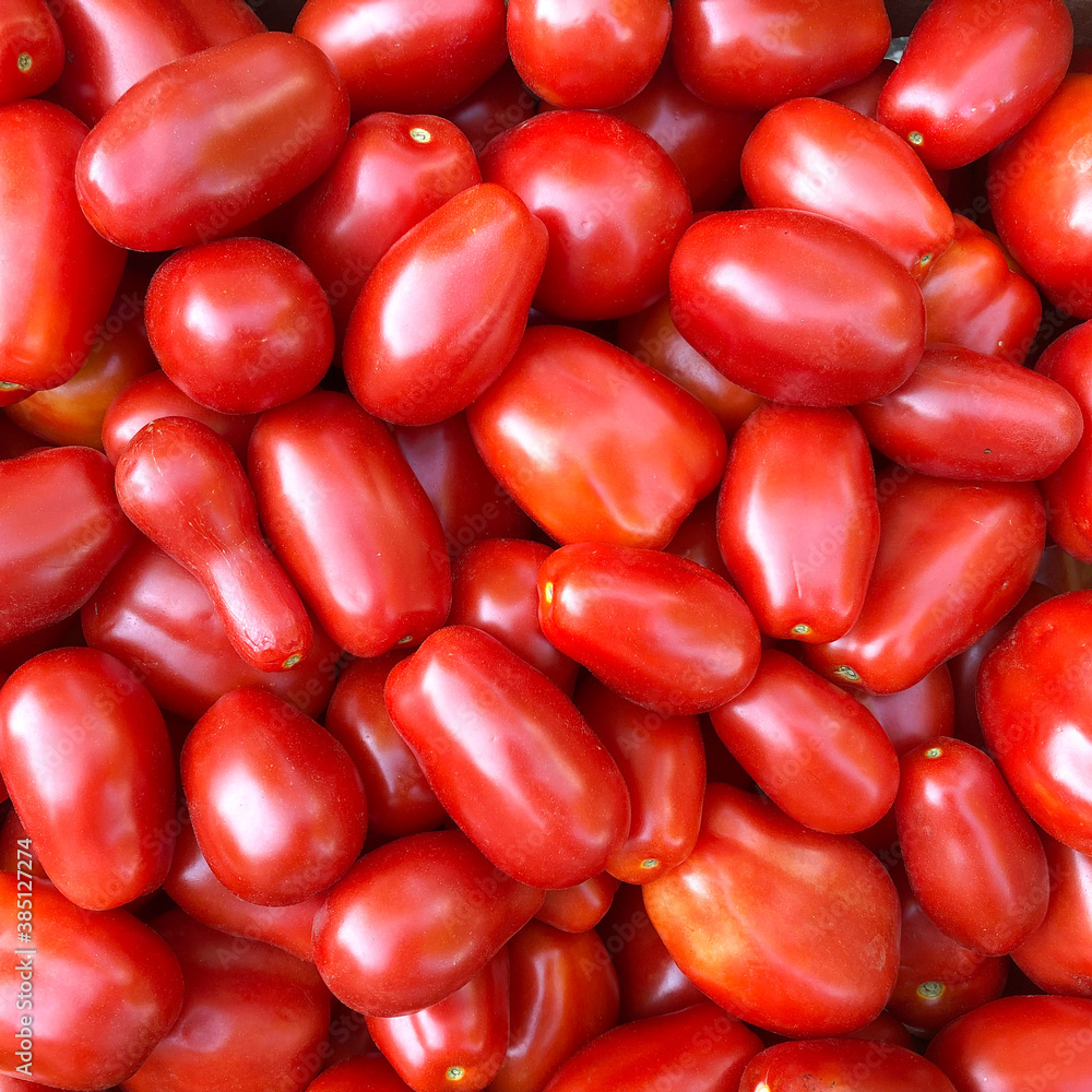 San Marzano tomatoes for homemade tomato sauce and juice San Marzano tomatoes for homemade tomato sauce and juice