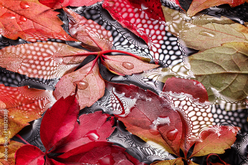 wet red autumn leaves background