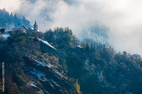 trees in autumn with snow