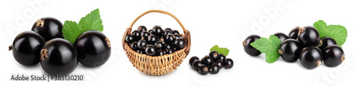 black currant with leaves isolated on white background with clipping path and full depth of field. Set or collection