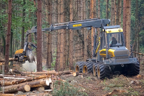 Foto Holzvollernter bei der Rodung von Bäumen in einem vom Borkenkäfer betroffenen Na