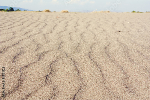 brown medicinal sand useful for human joints on the beach ada bojana photo