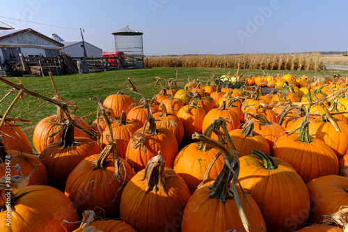 Pile of pumpkins sitting on a wagon in front of a corn field