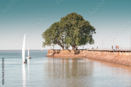 Fisherman's Wharf of the Port of Olivos in Buenos Aires, Argentina. with a lush tree and sailboats sailing photo