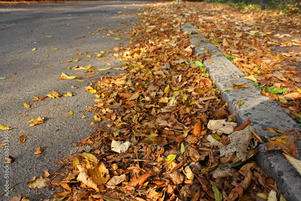 Grey urban asphalt road and dry autumnal fallen leaves on the sidelines. October time. Sun glare. Grey urban asphalt road and dry autumnal fallen leaves on the sidelines. October time. Sun glare.