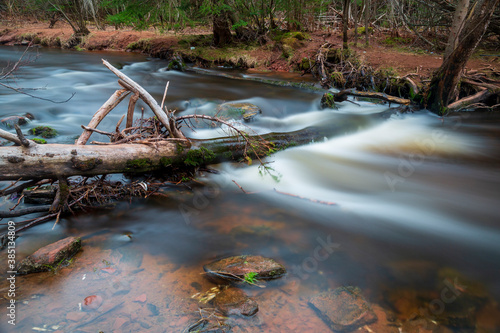 Fototapeta Naklejka Na Ścianę i Meble -  Long exposure photo of a river flowing through the woods, and over a fallen tree
