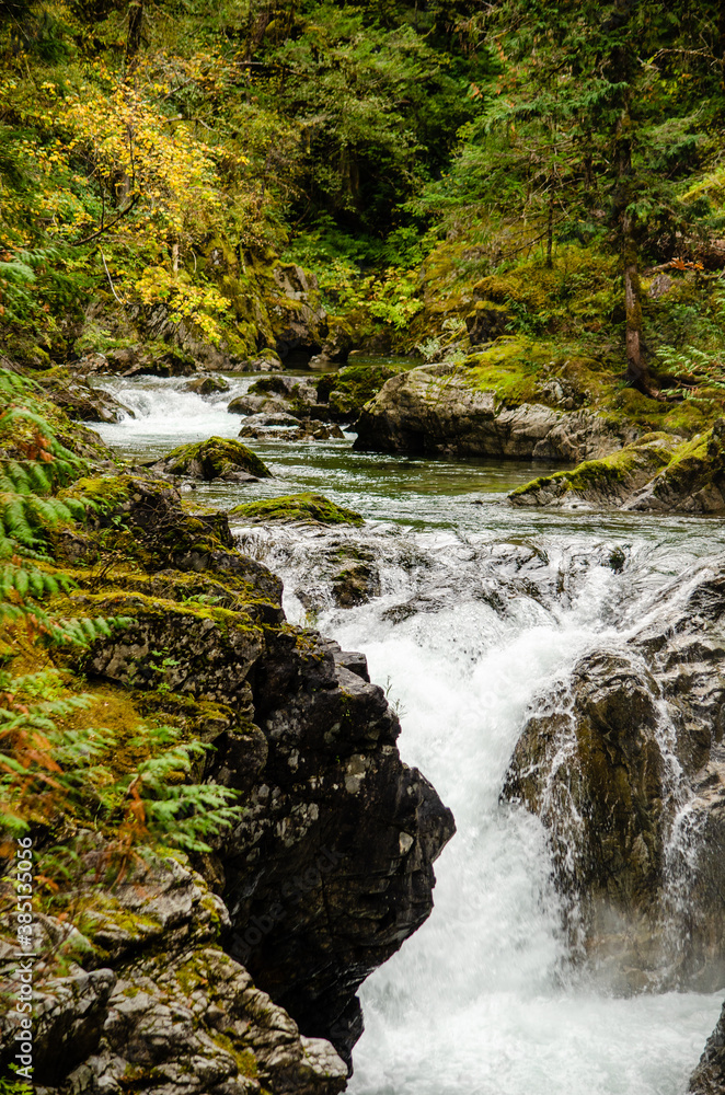 Little Qualicum Falls - Little Qualicum Falls roar over the rocks on an autumn day Little Qualicum Falls - Little Qualicum Falls roar over the rocks on an autumn day