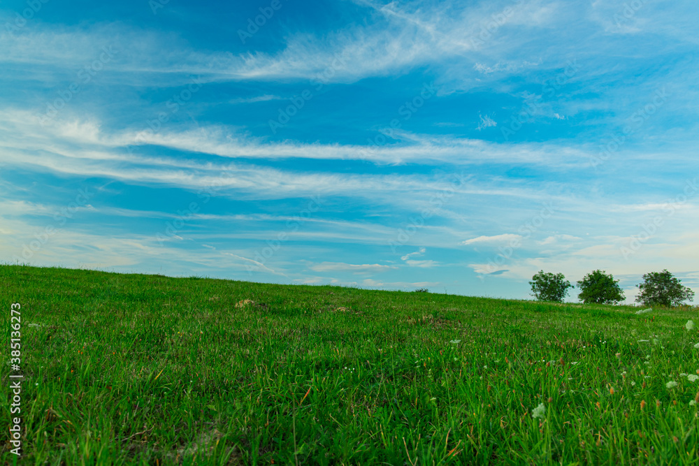 green field simple background nature landscape scenic view with unfocused tree on horizon line in summer clear weather day