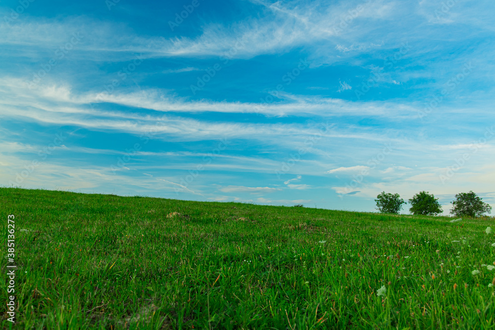 Obraz premium green field simple background nature landscape scenic view with unfocused tree on horizon line in summer clear weather day