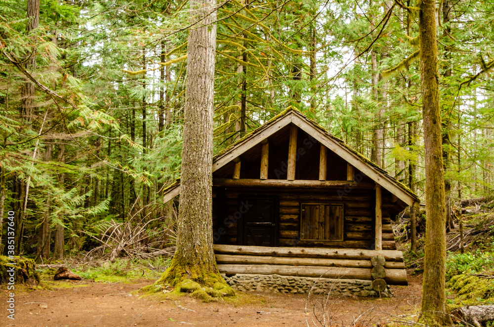 Log Cabin - A little log cabin along the trail in Little Qualicum Falls Provincial Park Log Cabin - A little log cabin along the trail in Little Qualicum Falls Provincial Park