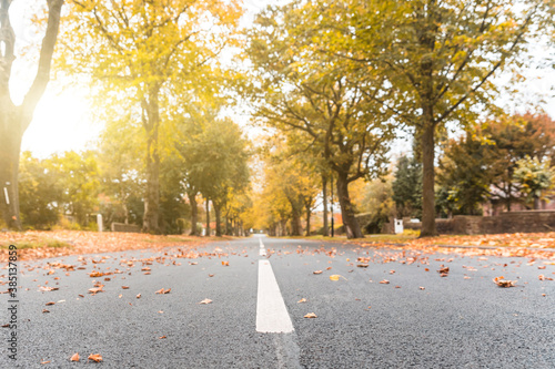 Φωτογραφία Autumn scene, road with leaves and trees on the sides - City street low angle vi