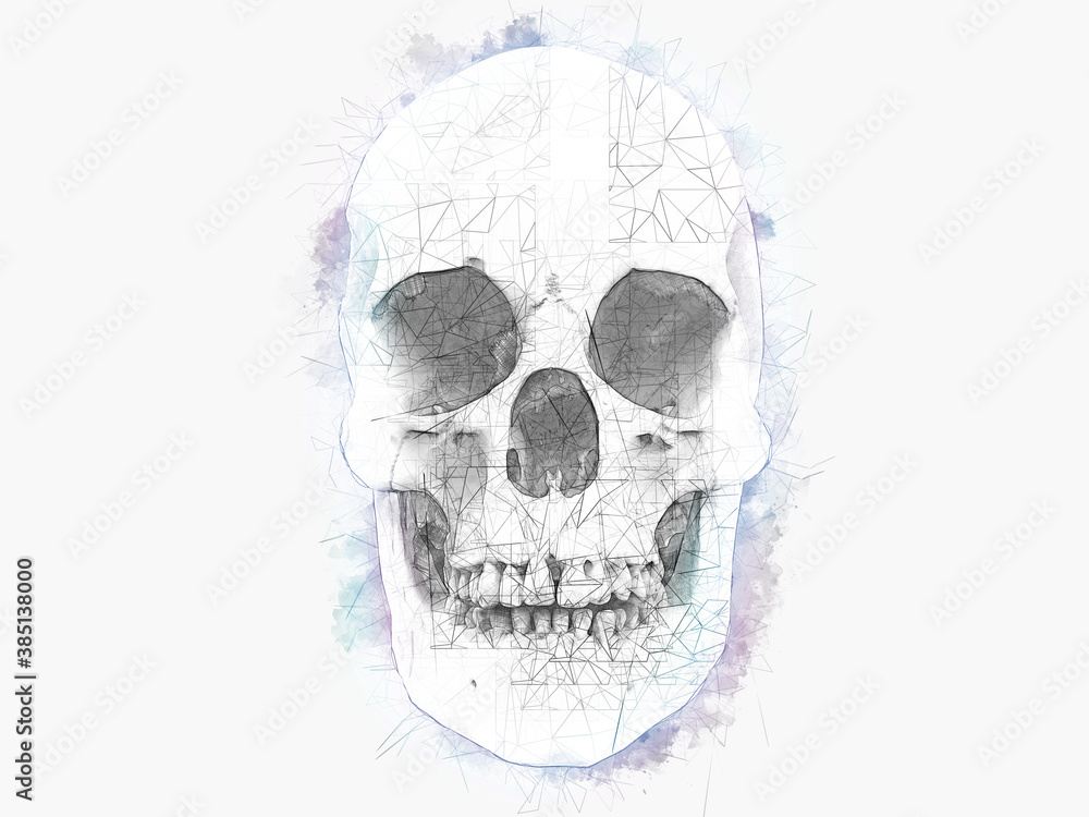 Obraz premium Human skull - water color and technical pencil drawing
