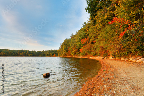 Beautiful fall foliage at Walden Pond at sun rise, Concord Massachusetts USA. Walden Pond is a lake in Concord, formed by retreating glaciers 10,000–12,000 years ago. photo